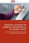 Résolution numérique de problèmes d'écoulement et de transport réactif