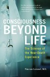 Consciousness Beyond Life