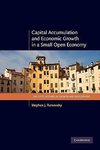 Capital Accumulation and Economic Growth in a Small Open Economy