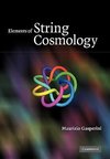 Elements of String Cosmology