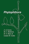 Phytophthora