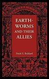 Earthworms and Their Allies