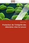 Protection de l'intégrité des télomères chez la Levure