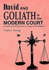 David and Goliath in the Modern Court