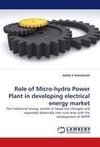 Role of Micro-hydro Power Plant in developing electrical energy market