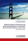 Deterioration of Structural Steel Embedded in Concrete