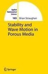 Stability and Wave Motion in Porous Media