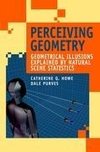 Perceiving Geometry