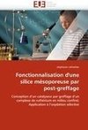 Fonctionnalisation d'une silice mésoporeuse par post-greffage