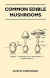 Common Edible Mushrooms