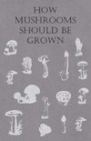 How Mushrooms Should Be Grown