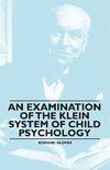 EXAM OF THE KLEIN SYSTEM OF CH