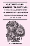 Chrysanthemum Culture for Amateurs