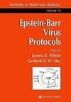 Epstein-Barr Virus Protocols