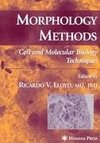 Morphology Methods