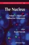 The Nucleus