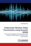 Underwater Wireless Video Transmission using Acoustic OFDM