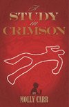 A Study in Crimson - The Further Adventures of Mrs. Watson and Mrs. St Clair Co-Founders of the Watson Fanshaw Detective Agency - With a Supporting