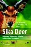 Sika Deer