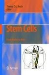 Stem Cells