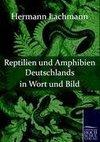 Reptilien und Amphibien Deutschlands in Wort und Bild