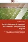 La gestion durable des eaux souterraines en agriculture irriguée