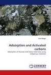 Adsorption and Activated carbons