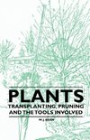 Plants - Transplanting, Pruning and the Tools Involved