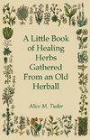 A Little Book of Healing Herbs Gathered From an Old Herball