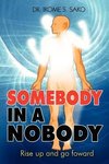 Somebody in a Nobody