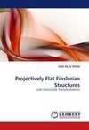 Projectively Flat Finslerian Structures