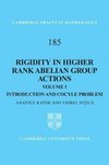 Katok, A: Rigidity in Higher Rank Abelian Group Actions: Vol