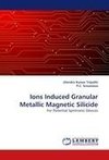 Ions Induced Granular Metallic Magnetic Silicide