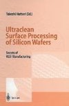 Ultraclean Surface Processing of Silicon Wafers