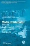 Water Institutions: Policies, Performance and Prospects