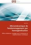 Micromécanique de l'endommagement par homogénéisation