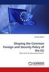 Shaping the Common Foreign and Security Policy of the EU