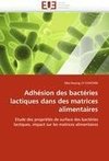 Adhésion des bactéries lactiques dans des matrices alimentaires