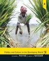 Payne, R: Politics and Culture in the Developing World