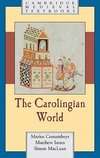 Costambeys, M: Carolingian World