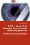 GDNF et transport du glutamate dans un modèle de rétinite pigmentaire