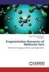 Fragmentation Dynamics of Molecular Ions