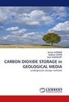 CARBON DIOXIDE STORAGE in GEOLOGICAL MEDIA