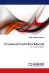 Structural Credit Risk Models