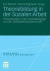 Theoriebildung in der Sozialen Arbeit