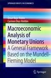 Macroeconomic Analysis of Monetary Unions