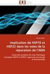 Implication de HSP70 et HSP22 dans les voies de la réparation de l'ADN