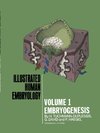 Embryogenesis