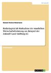 Risikokapital als Maßnahme der staatlichen Wirtschaftsförderung am Beispiel der Zukunft Land Salzburg AG