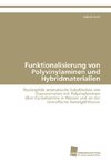 Funktionalisierung von Polyvinylaminen und Hybridmaterialien